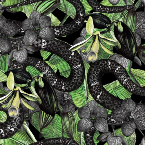 Snake and Orchids Exotic si Jungla Mural Wallpaper Fototapet Personalizat Zenaria Tapet Tropical Temptation Rosu